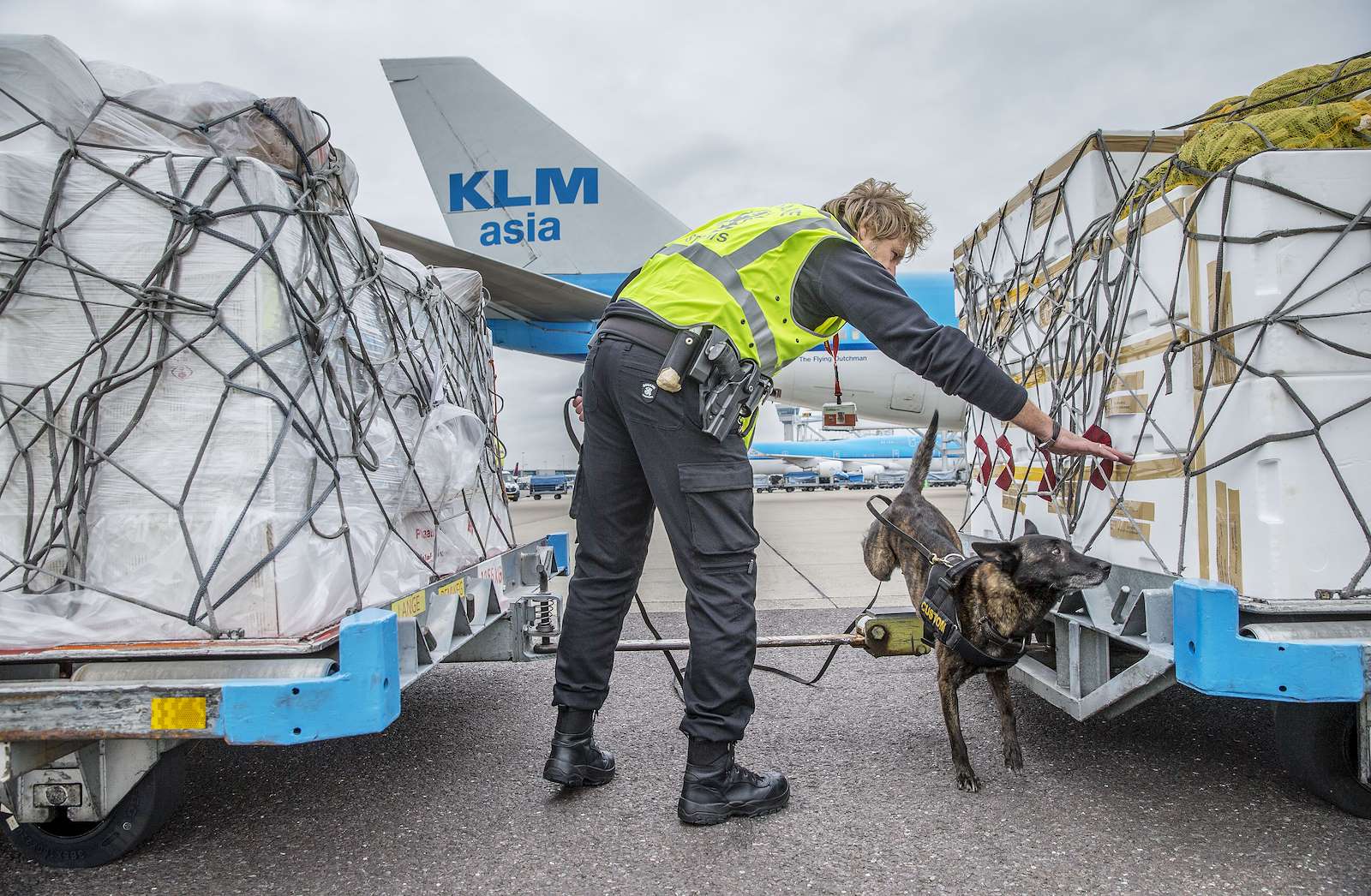 Controle op belly freight Foto Controle douane belly freight